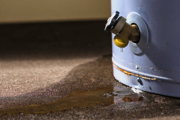 Carpet water damage restoration in Madisonville, KY