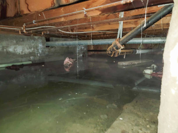 Best Residential water damage restoration  in Madisonville, KY