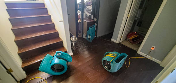 Best Ceiling water damage repair  in Madisonville, KY