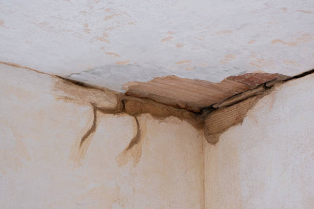 Best Water damage repair service  in Madisonville, KY