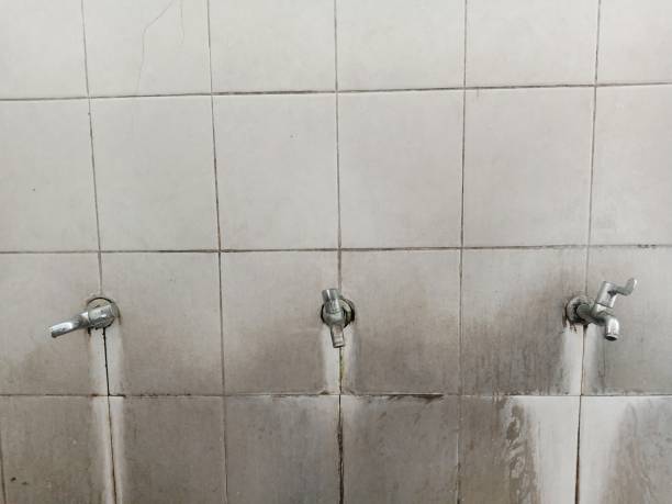 Reliable Madisonville, KY Water damage restoration Solutions