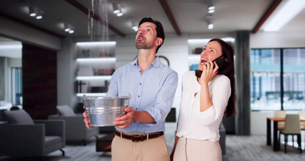 Best Water damage restoration near me  in Madisonville, KY